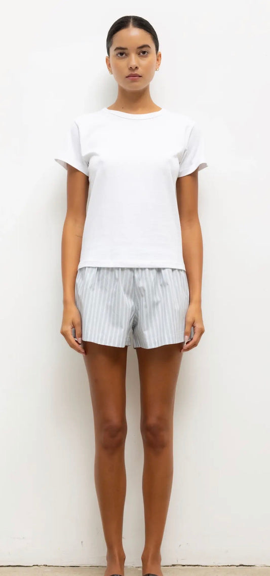Yoshi Stripe Summer Short in Sterling Stripe