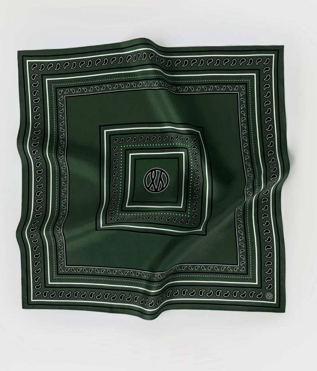 Paisley Scarf in Green