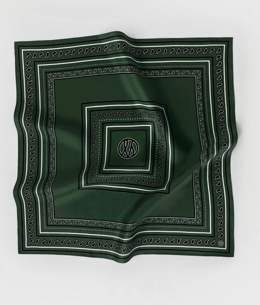 Paisley Scarf in Green