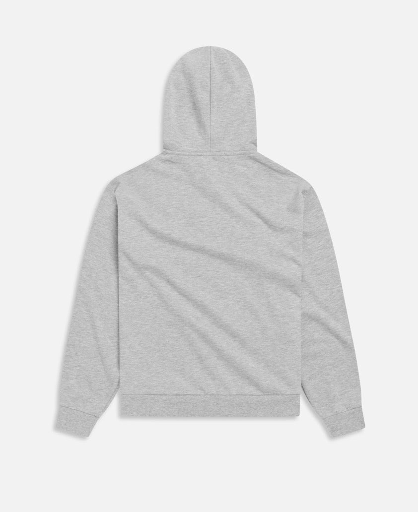 Friends Hoodie in Dark Heather Grey