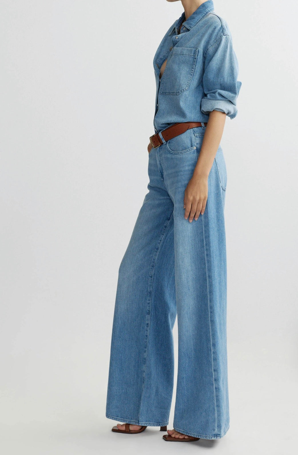 Alex Baggy Wide Leg Low Rise 32' in Riverbank Aura