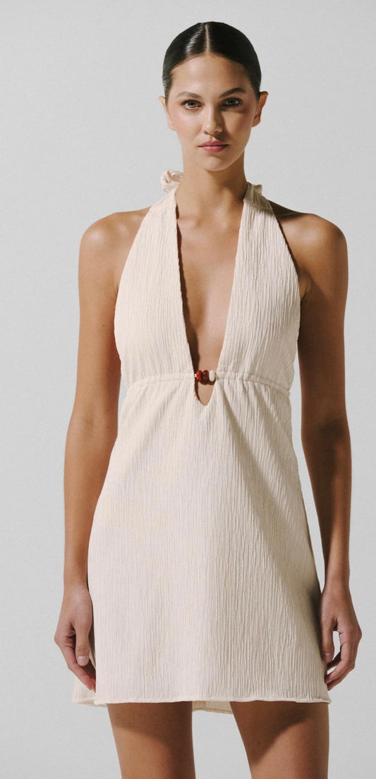Louise Mini Dress in Salina