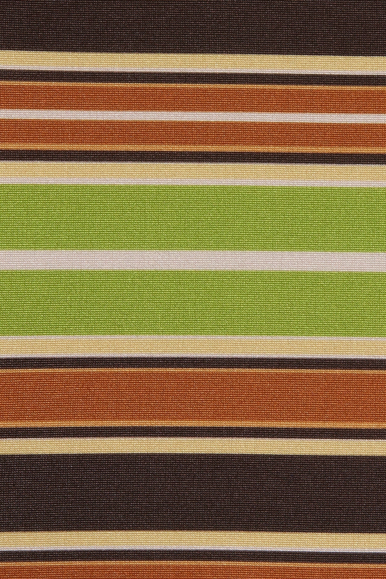 Rocio Short in Valencia Stripe