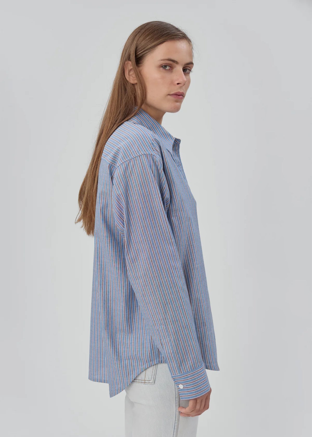 Day Shirt in Blue Stripe