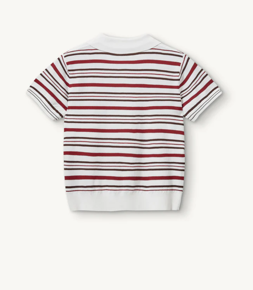 Madison Button Polo in Vino