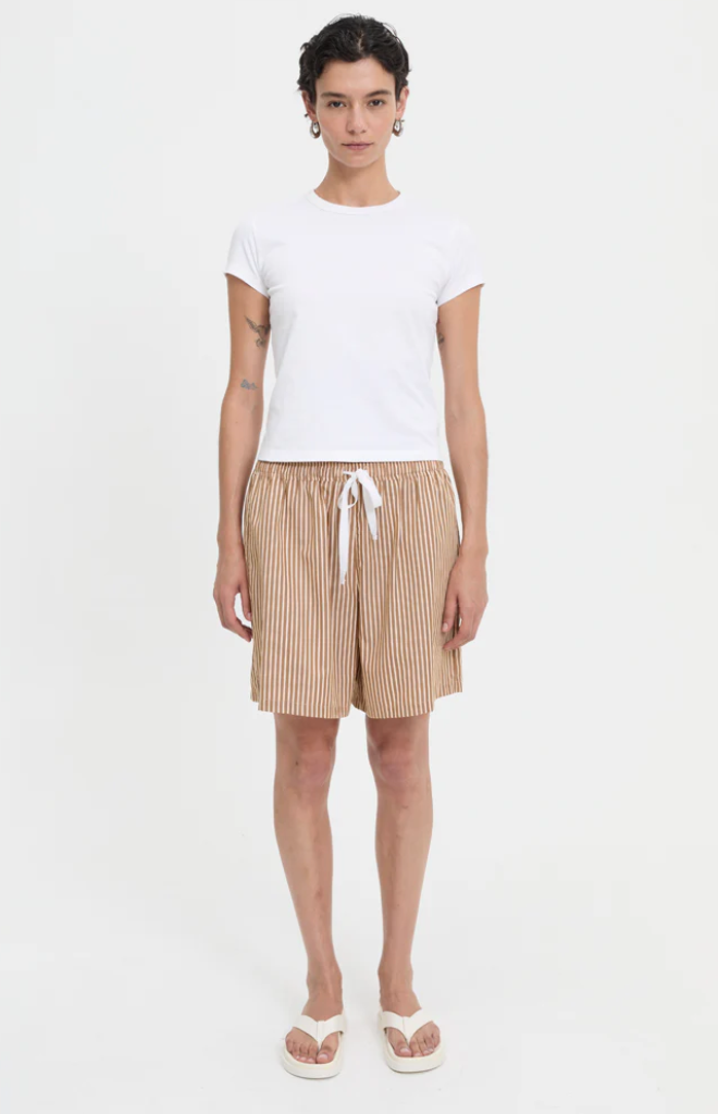 Nate Shorts in Brown