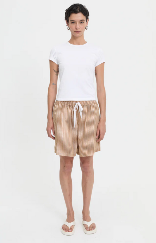 Nate Shorts in Brown