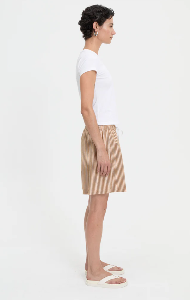 Nate Shorts in Brown