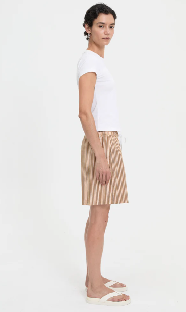 Nate Shorts in Brown